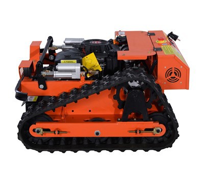 Robot rasaerba intelligente